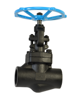 Class 800 Forged Steel Gate Valve NPT