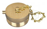 FP150F-P - Brass Pin Lug Plug