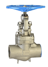 Class 800 Forged Stainless Steel Gate Valve Threaded