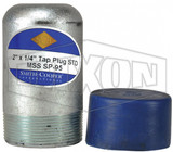 BP40-200T025 - Bull Plug with Tap