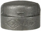 300MICAP75 - NPT Threaded Cap