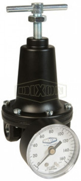 R119-03CG - Watts FRLs R119-Series Standard Regulator with Gauge