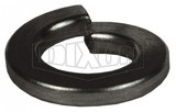 13LW - Lock Washer
