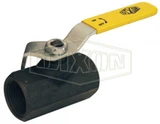 IBV200 - Carbon Steel Ball Valve