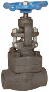 FSGLBV125 - Forged Steel Globe Valve