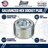 Billco Galvanized Hex Socket Plug feature graphic