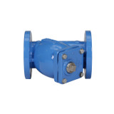 Cast Iron, Class 125 Flanged End, Wye-Pattern Strainers with FDA Epoxy Coating