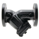 Cast Iron, Class 125 Flanged End, Wye-Pattern Strainers