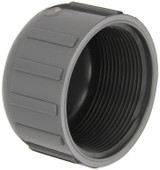 Schedule 80 PVC Cap (FPT)