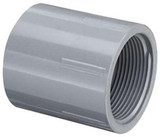 Schedule 80 CPVC Coupling (FPT x FPT)