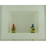 1/2" Pex Washing Box w/ Qtr Turn Valves- Center Drain- Lead Free
