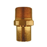3/4" (FTG X MPT) Wrot Fitting Male Adapter