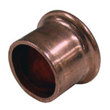 1" (FTG) Wrot Fitting Plug