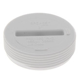 PVC DWV Flush C.O. Plug (MPT)