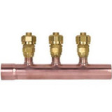 Manifold 2port 1ms X 1fs Compex Brn