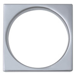 Strainer & Ring Ss Rnd For 821-2ins
