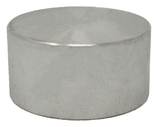 3000# Stainless Cap