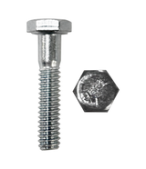 Hex Head Cap Screw - 55841