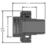 Schedule 80 PVC Union 2000 FKM (FPT x MPT)
