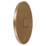 Plug Brass 6 Rsd Sq Head