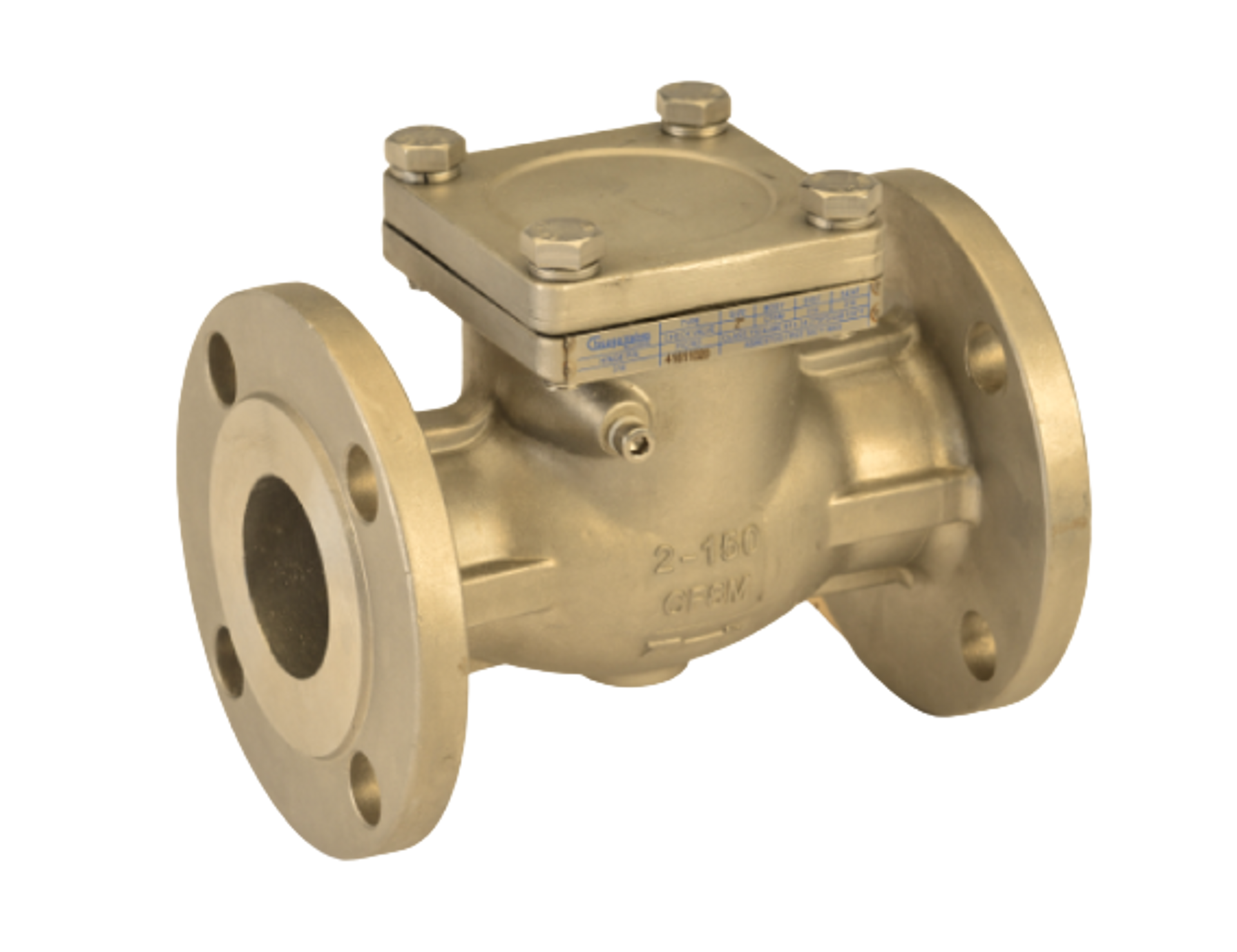 150 Stainless Steel Flanged Swing Check Valve GETPIPE