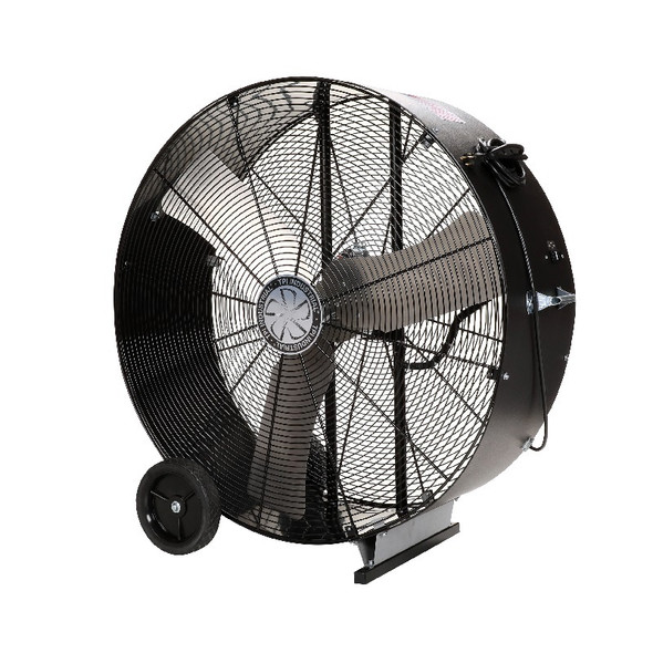 Direct Drive Portable Blower
