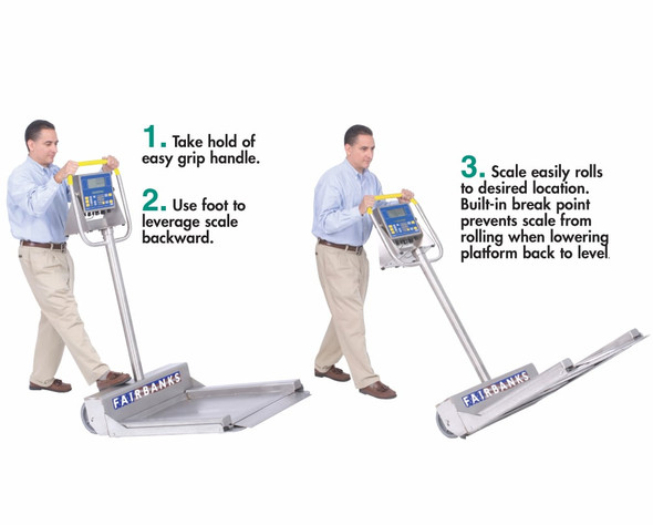 Mobile Transport Scale