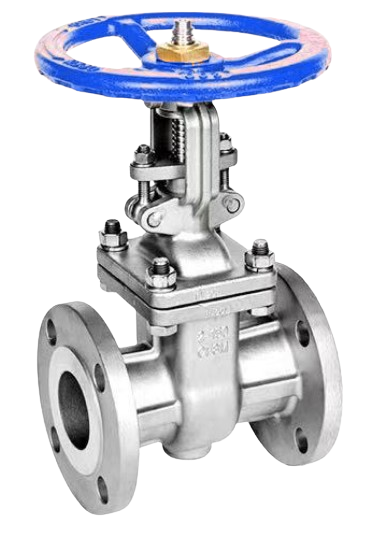 Teton 150# SS Flanged Gate Valve