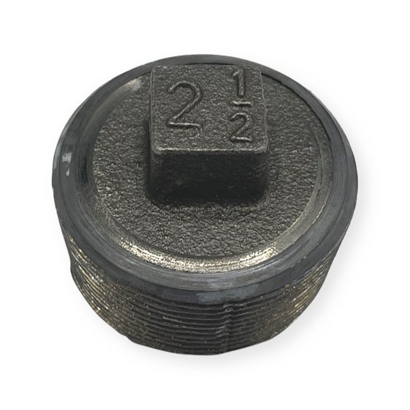 2 1/2″ Lead Fitall Plug