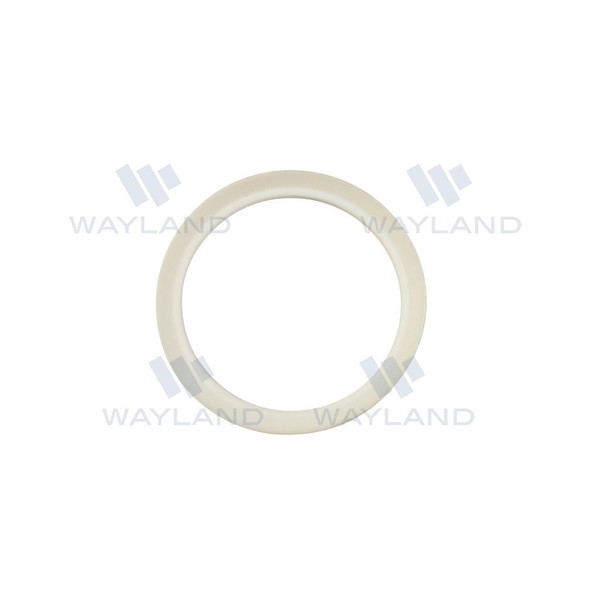 PTFE (40BS-T)