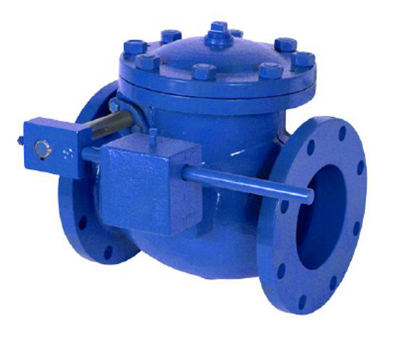 Figure 340-W "Ludlow" Lever & Weight Swing Check Valve