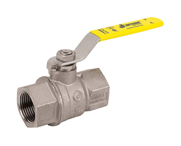 Brass Ball Valve, 2 Piece, Full Port, MIP x FIP Connection, Stainless Steel Ball and Stem, 600 WOG