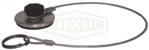 DGDP100 - Dixon MannTek Dry Gas Dust Plug