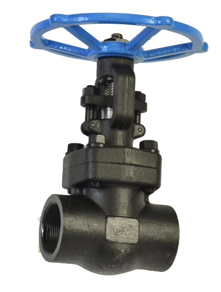 Class 800 Forged Steel Globe Valve Threaded