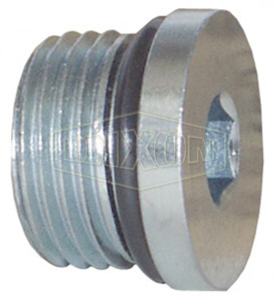 6408HHP-12 - Hollow Hex O-ring Boss® Plug