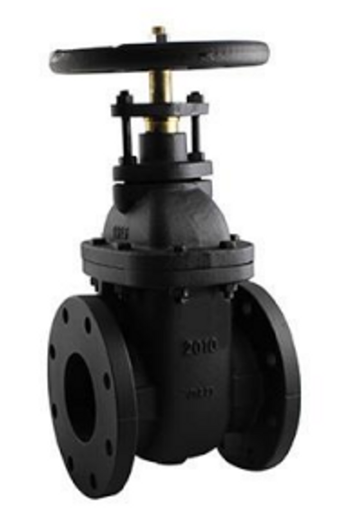 125# NRS Flanged Gate Valve