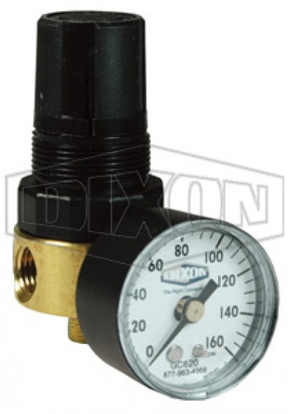 R364-02CG - Watts FRLs R643-Series Miniature Regulator with Gauge