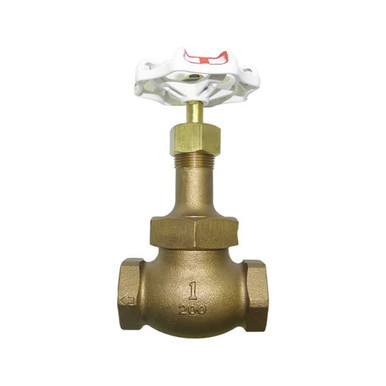 Red White Valve Corp. 214 Bronze Globe Valve