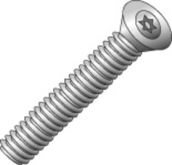 Tamperproof Machine Screw - 20608XPJ