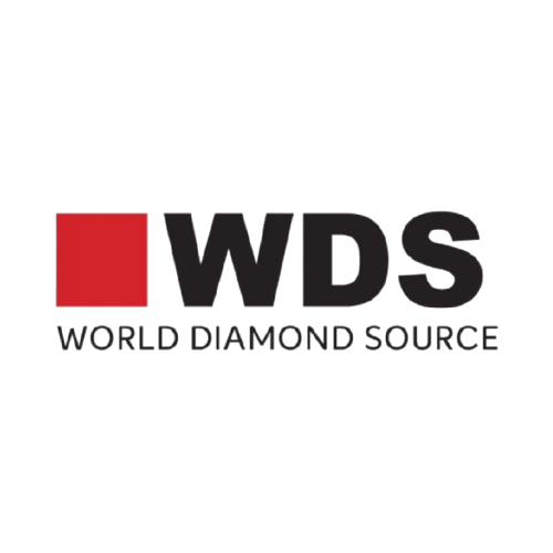 World Diamond Source Inc Logo