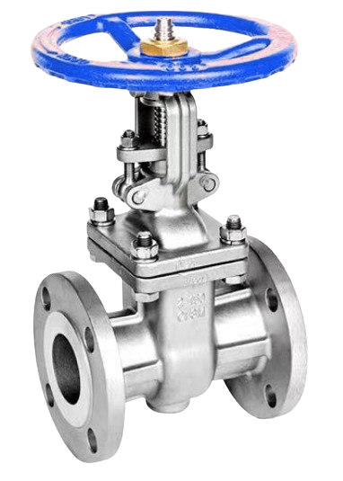 Teton 150# SS Flanged Gate Valve