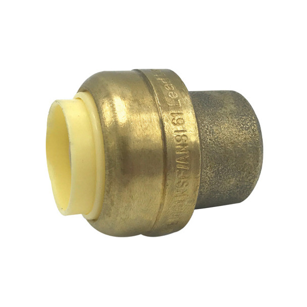 1/2″ EZ-Bite Push-Fit Cap