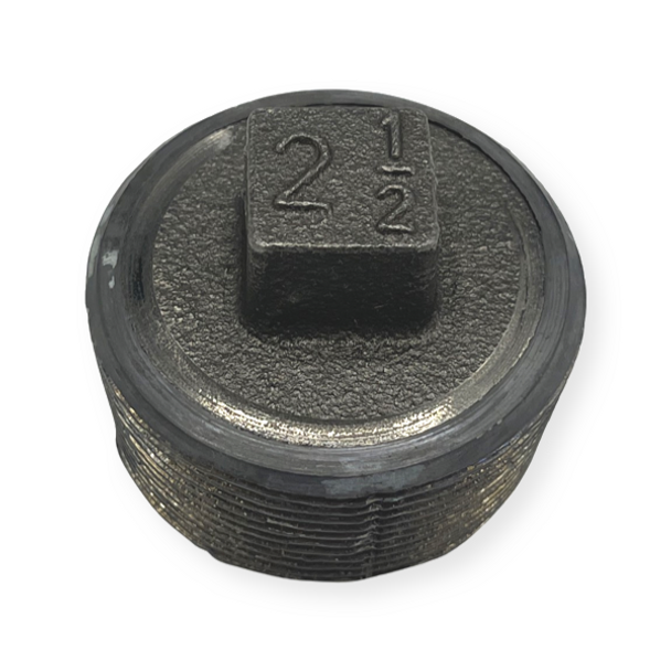 2 1/2″ Lead Fitall Plug