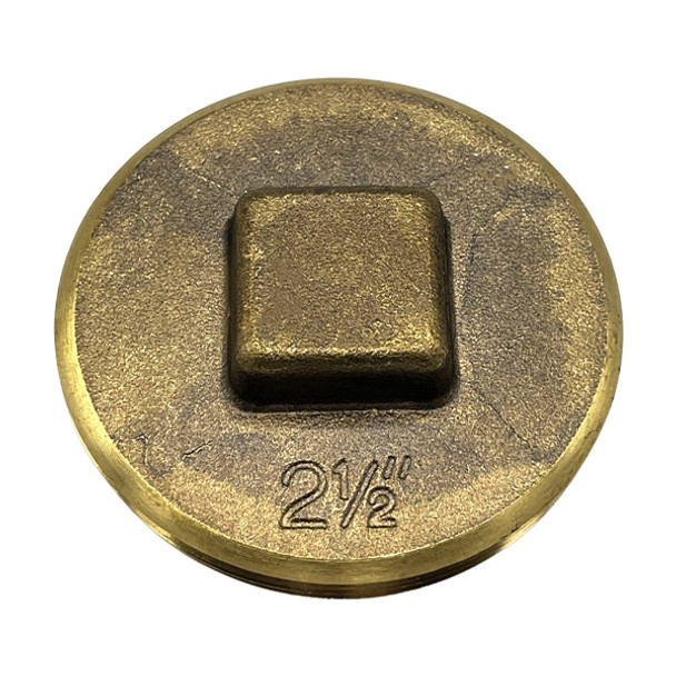 2 1/2″ Raised-Head Brass Plug
