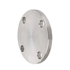 Stainless Steel Blind Flange