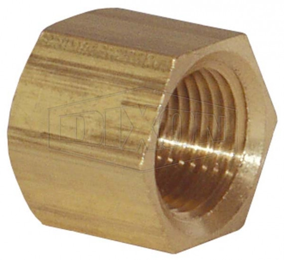 2130400CLF - NPTF Pipe Cap