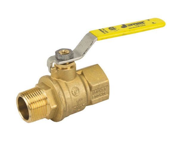 Brass Ball Valve, 2 Piece, Full Port, MIP x FIP Connection, 600 WOG