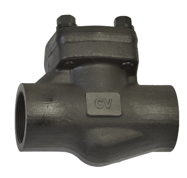 Class 800 Forged Steel Swing Check Valve Socketweld