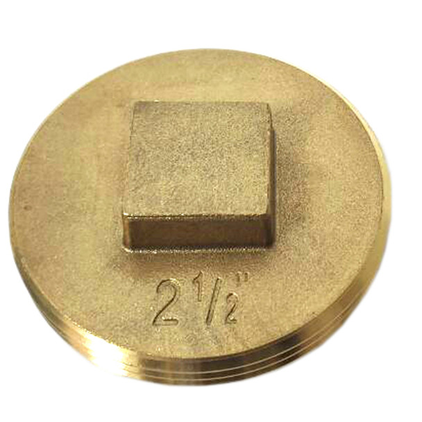 2-1/2" IPS Southern Code Raised Head Brass Cleanout Plug