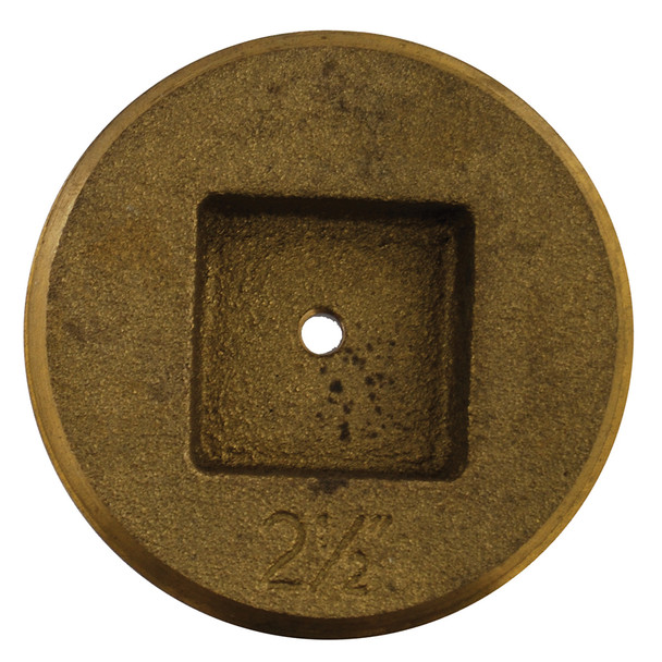 2" Extension Cover Brass Plug (1/4" tapped)